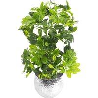 Leaf Artificial 75cm Arboricola Gold Capella Plant Silver Planter in Green