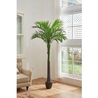 2.2m H Artificial Coconut Palm Tree Decorative Plant