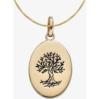 T.H.Baker Women's 9ct Yellow Gold Oval Oxidised Tree of Life Necklace GP2280 GN141 | Size: 46 cm