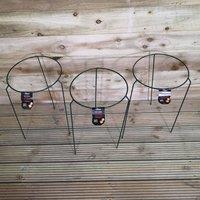 Samuel Alexander Pack of 3 Tom Chambers Urban Metal Herbaceous Garden Plant Support Ring Medium 30cm x 50cm in Dark Green | Size: 30 cm x 50 cm