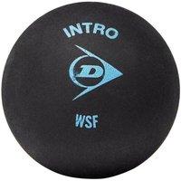 Dunlop Intro Squash Balls (Pack of 12) in Black