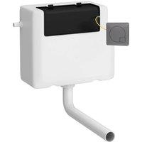 Balterley Water Saving Dual Flush Side Inlet Push Button Brushed Pewter White in Silver