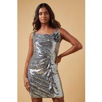 Oasis Women's Occasion Sequin Corsage Mini Dress in Silver | Size: 12
