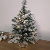 Samuel Alexander 2ft (60cm) Battery Operated Snow Flocked Mini Christmas Tree in Silver Pot with Warm White LEDs in Green