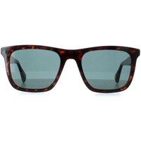 Ted Baker Men's Square Milky Dark Brown Blue TB1680 Filipe