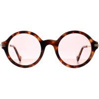 Moncler Men's Round Havana Pink ML0081 in Brown