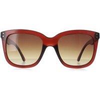 CALVIN KLEIN Women's Square Transparent Brown Brown Gradient CK22550S