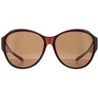 SMARTY Men's Round Transparent Brown EF Brown X2115