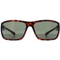 SMARTY Men's Wrap Demi Brown Tortoise Green X2135
