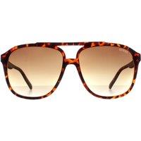 Guess Men's Aviator Brown Brown Gradient GF5084