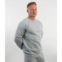 Discipline 365 Men's Discipline Crew Neck Sweatshirt with Embroidery in Light Grey | Size: Extra Large