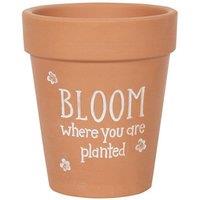 KDMD Bloom Where You Are Planted Terracotta Plant Pot in Light Brown