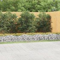 Berkfield Home Arched Gabion Raised Bed 800x100x50 cm Galvanised Iron in Silver | Size: 800 x 100 x 50 cm