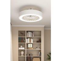 Round Acrylic Spotted Ceiling Mount LED Fan Light