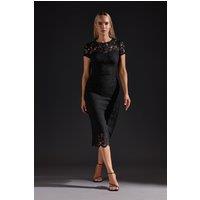 Long Tall Sally Women's Tall Lace Midi Dress in Black | Size: 14