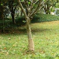 Berkfield Home Jute Roll 0.25x100 m 100% Jute 200 gsm