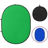 Berkfield Home 2 in 1 Oval Studio Background Screen Green & Blue 200x150 cm