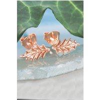 Otis Jaxon London Women's Holly Leaf Sterling Silver Stud Earrings in Rose Gold