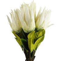 Leaf Pack of 6 x 65cm Protea Sugarbush Flower Stem - White | Size: 6 x 65 cm