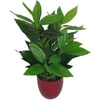 Leaf 70cm Design UK Realistic Large Artificial Foliage Plant with Pot in Green