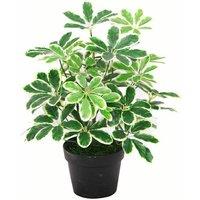 Leaf 55cm Variegated Artificial Schefflera Arboricola Plant in Green