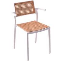 4pcs Pseudo-rattan PP Dining Chair with Armrest