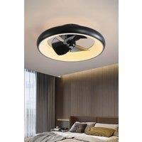 Industrial Style Ceiling Mount LED Fan Light