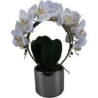 VFM e-Store Phalaenopsis Potted Plant Artificial Decoration Cream in White