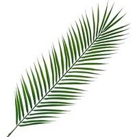 Leaf 100cm Realistic Artificial Palm in Green