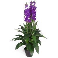 Leaf Artificial 100cm Purple Cymbidium Orchid Plant - Extra Large