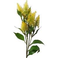 Leaf 55cm Callistemon Pallidus Yellow Bottle Brush Stem