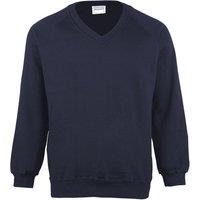 Maddins Men's Coloursure V-Neck Sweatshirt in Navy | Size: XL