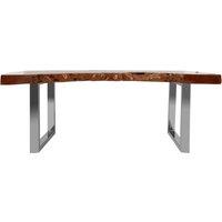 Orsina Rectangular Teak Wood Coffee Table, Rustic Handcrafted Table, Small Stainless Steel Table, Modern Center Table in Silver
