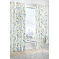 Fusion 'Fernworthy' 100% Cotton Botanical Print Pair of Eyelet Curtains in Green | Size: 168 cm width x 229 cm drop