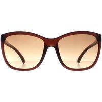 CALVIN KLEIN Women's Cat Eye Milky Brown Brown Gradient CK19565S