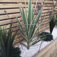 Samuel Alexander Set of 2 54cm x 40cm Medium Bare Rusted Steel Garden Plant Supports in Silver | Size: 54 cm x 40 cm