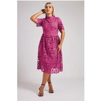 Yours Women's Lace Crochet Midi Dress in Pink | Size: 20