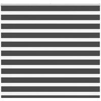 Berkfield Home Zebra Blind Black 165x100 cm Fabric Width 160.9 cm Polyester