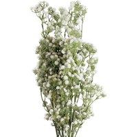 Leaf Pack of 6 x 85cm Gypsophila White Stem | Size: 6 x 85 cm