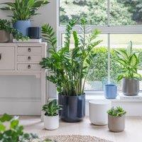 Ivyline Lisbon Planter Greige H26Cm D26Cm- Ceramic- Best Seller- Available from 12cm to 26 cm & 5 colours in Brown
