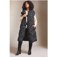 Evans Women's Midi Padded Gilet in Black | Size: 20