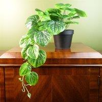 Leaf 35cm Artificial Trailing Natural Look Potted Pothos Plant Realistic in Green