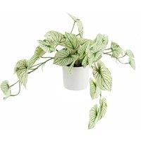 Leaf 30cm Artificial Trailing Plant Variegated Potted Alocasia in Green