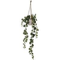 Leaf 90cm Artificial Potted Hanging Trailing Green Plant - String of Hearts