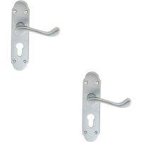 Loops 2x PAIR Victorian Upturned Handle on Euro Lock Backplate 170 x 42 Satin Chrome