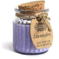 KDMD Lavender Soy Pot of Fragrance Candles - (Set of 2) in Purple