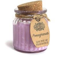 KDMD Pomegranate Soy Pot of Fragrance Candles - (Set of 2) in Purple