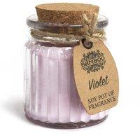 KDMD Violet Soy Pot of Fragrance Candles - (Set of 2) in Purple