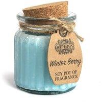 KDMD Winter Berry Soy Pot of Fragrance Candles - (Set of 2) in Teal