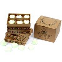 KDMD Box of 6 Wax Melts - Apple Spice in Green